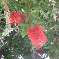 De San Francisco à Seattle.