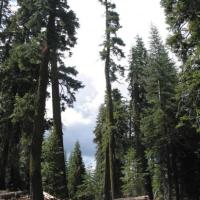 Lassen Volcanic Park