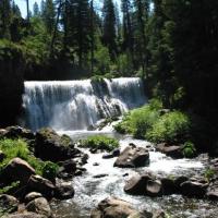 Mont Shasta. Rivière Mac Cloud.