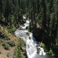 Mont Shasta. Rivière Mac Cloud.