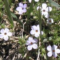 De San Francisco à Seattle.