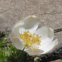 De San Francisco à Seattle.