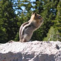 Près de Crater lake