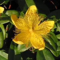 De San Francisco à Seattle.