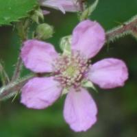 De San Francisco à Seattle.