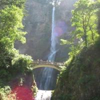 Multnomah Falls Columbia river