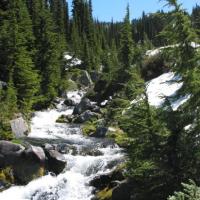 En montant vers Mont Rainier