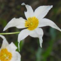 De San Francisco à Seattle.