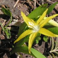 De San Francisco à Seattle.