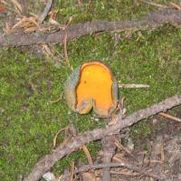 De San Francisco à Seattle.