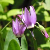 De San Francisco à Seattle.