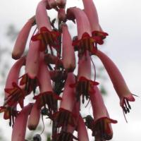 De San Francisco à Seattle.